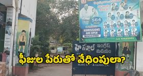 NBK 111Film: బాలయ్యకు విలన్ గా పవన్ డైరెక్టర్... పక్కాగా ప్లాన్ చేసిన గోపీచంద్ మలినేని!
