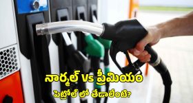 Adluri Laxman: రాష్టంలో బీఆర్ఎస్ పార్టీ మనుగడ లేదు.. మంత్రి అడ్లూరి లక్ష్మణ్ సంచలన వ్యాఖ్యలు