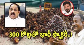 Oil Palm Factory: రైతులకు గుడ్ న్యూస్.. 300 కోట్లతో భారీ ఆయిల్ రిఫైనరీ ఫ్యాక్టరీ ఏర్పాటు