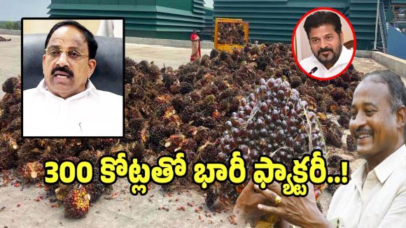 Oil Palm Factory: రైతులకు గుడ్ న్యూస్.. 300 కోట్లతో భారీ ఆయిల్ రిఫైనరీ ఫ్యాక్టరీ ఏర్పాటు
