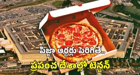 Pentagon Pizza Orders: పిజ్జా ఆర్డర్లు పెరిగితే.. ఏదో దేశానికి మూడినట్లే.. ఏంటీ పెంటగాన్ పిజ్జా ఇండెక్స్?