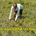 PMFBY Insurance Claim: పంట నష్టం జరిగితే ఏం చేయాలి?.. 72 గంటల రూల్ తెలుసా?
