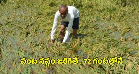 PMFBY Insurance Claim: పంట నష్టం జరిగితే ఏం చేయాలి?.. 72 గంటల రూల్ తెలుసా?