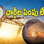 Telangana Electricity: రాష్ట్రంలో విద్యుత్ చార్జీల పెంపు.. క్లారీటీ ఇచ్చిన ప్రభుత్వం