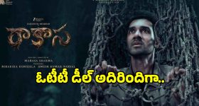 Longest Non-Stop Flight: ఇది ప్రపంచంలోనే లాంగెస్ట్ నాన్ స్టాప్ ఫ్లైట్.. దీని లోపల ఎలా ఉంటుందో తెలుసా? అద్భుతం అంతే!