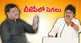 Animal Adoption: జూ బంపరాఫర్.. దత్తతకు టైగర్, చిరుత, ఎలుగుబంటి.. ఇంకెందుకు ఆలస్యం!