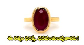 YSRCP Strategy: 2029 లక్ష్యంగా జగన్ కొత్త స్ట్రాటజీ.. వైసీపీ మళ్లీ అధికారంలోకి వస్తుందా?
