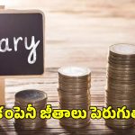 Salaries Hike: ఉద్యోగులకు గుడ్ న్యూస్.. ఈ ఏడాది పెరగనున్న జీతాలు.. లేటెస్ట్ సర్వే