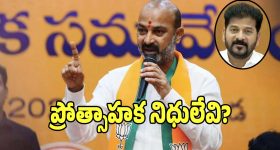 Rajpal Yadav: సోనూ సూద్ ఆఫర్‌పై ఆసక్తికర వ్యాఖ్యలు చేసిన రాజ్ పాల్ యాదవ్.. అంత డబ్బు ఉందా?