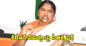 Seethakka Slams KTR: మహిళలకు ఫ్రీ బస్సు పెడితేనే ఓర్వడం లేదు.. కేటీఆర్‌పై మంత్రి సీతక్కఫైర్!