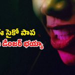 Horror Thriller OTT: ప్రేమ కోసం  బోలెడన్ని  మర్డర్లు…రక్తపాతంతో సాగే సైకో రాసలీల… ఒక్కో సీన్ అరాచకం…