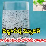Basil Seeds: ఒంటి వేడిని తగ్గించే నేచురల్ కూలర్.. ఎండాకాలం సబ్జా గింజలు తింటే బోలెడు బెనిఫిట్స్