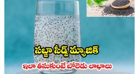 Basil Seeds: ఒంటి వేడిని తగ్గించే నేచురల్ కూలర్.. ఎండాకాలం సబ్జా గింజలు తింటే బోలెడు బెనిఫిట్స్