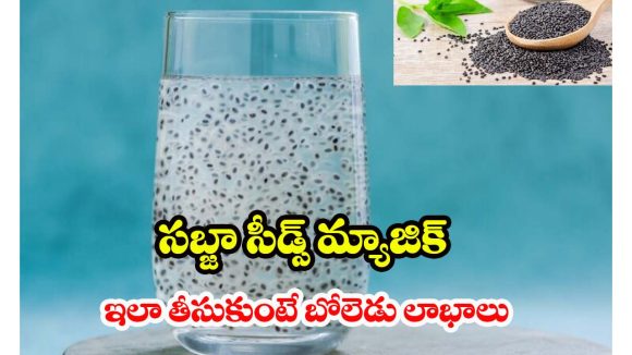 Basil Seeds: ఒంటి వేడిని తగ్గించే నేచురల్ కూలర్.. ఎండాకాలం సబ్జా గింజలు తింటే బోలెడు బెనిఫిట్స్