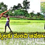 Telangana Govt: రైతులకు గుడ్ న్యూస్.. ఈ పంటలపై బ్యాంకు రుణాలు పెంచుతూ ప్రభుత్వం  కీలక నిర్ణయం