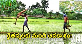 Galaxy S25 Ultra Price Cut: బిగ్గెస్ట్ ప్రైస్ డ్రాప్.. శాంసంగ్ ప్రీమియం ఫోన్‌పై ఏకంగా రూ.20,000 తగ్గింపు!