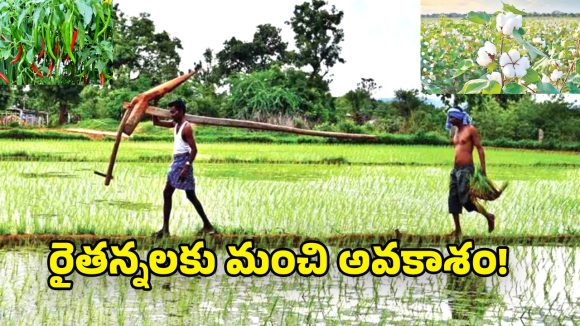 Telangana Govt: రైతులకు గుడ్ న్యూస్.. ఈ పంటలపై బ్యాంకు రుణాలు పెంచుతూ ప్రభుత్వం  కీలక నిర్ణయం