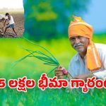 Telangana Rythu Bima: రైతు సంక్షేమానికి బడ్జెట్‌లో పెద్దపీట రూ.5 లక్షల బీమా.. ఎవరికీ వర్తిస్తుంది? ఎలా అప్లై చేయాలి?