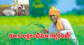 Telangana Rythu Bima: రైతు సంక్షేమానికి బడ్జెట్‌లో పెద్దపీట రూ.5 లక్షల బీమా.. ఎవరికీ వర్తిస్తుంది? ఎలా అప్లై చేయాలి?