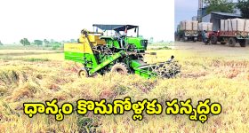 Nalgonda News: నల్గొండలో వరి కోతలు షురూ.. రైస్ మిల్లులకు తరలుతున్న ధాన్యం