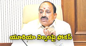 Thummala Nageswara Rao: ప్రతి నెలా 2లక్షల మెట్రిక్ టన్నులు కేటాయించాలి.. జేపీ నడ్డాకు మంత్రి తుమ్మల లేఖ