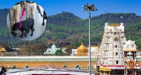 Tirupati Hotel Bomb Threat: తిరుపతిలో మళ్లీ బాంబు కలకలం.. మూడు ప్రముఖ హోటళ్లకు పేలుడు హెచ్చరికలు!