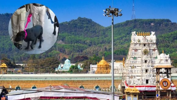 Tirupati Hotel Bomb Threat: తిరుపతిలో మళ్లీ బాంబు కలకలం.. మూడు ప్రముఖ హోటళ్లకు పేలుడు హెచ్చరికలు!