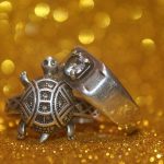 Tortoise ring: తాబేలు ఉంగరం ఎవరు పెట్టుకుంటే కలిసొస్తుంది? ఎవరు ధరించకూడదు