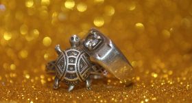Tortoise ring: తాబేలు ఉంగరం ఎవరు పెట్టుకుంటే కలిసొస్తుంది? ఎవరు ధరించకూడదు