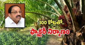 Bhatti Vikramarka: తెలంగాణ గ్రామ పంచాయతీలకు.. గుడ్ న్యూస్ చెప్పిన మంత్రి భట్టి విక్రమార్క..!