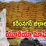 Urea Black Market: కరీంనగర్ జిల్లాలో యూరియా మాఫియా అరాచకం