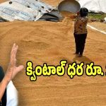Uttam Kumar Reddy: రబీలో 90 లక్షల ధాన్యం కొనుగోలుకు ప్రణాళికలు: ఉత్తమ్ కుమార్ రెడ్డి