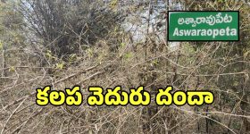 Varsha Bollamma: క్యాప్షన్ లేదు ఫోటోలు మాత్రమే చూడండి అంటున్న వర్ష బొల్లమ్మ!