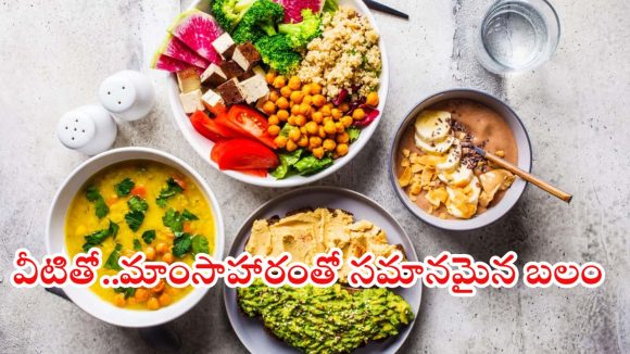 Protein Veg Dishes: మజిల్ బిల్డింగ్ కోసం బెస్ట్ వెజ్ డైట్.. ఈ ప్రోటీన్ రిచ్ వంటకాలతో మీ ఆరోగ్యం పదిలం!