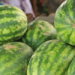 Watermelon: తియ్యటి పుచ్చకాయ ఎలా గుర్తించాలి? కొనేటప్పుడు ఈ చిట్కాలు పాటించండి