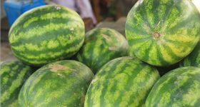 Watermelon: తియ్యటి పుచ్చకాయ ఎలా గుర్తించాలి? కొనేటప్పుడు ఈ చిట్కాలు పాటించండి