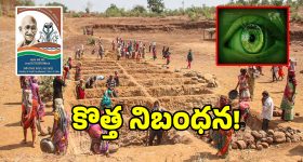 VerSe బోర్డులోకి దిగ్గజ ఫైనాన్స్ నిపుణుడు.. ఇండిపెండెంట్ డైరెక్టర్‌గా పీఆర్ రమేష్ నియామకం