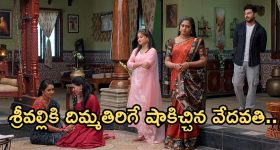 Illu Illalu Pillalu Today Episode: ప్రేమ ప్లాన్ గ్రాండ్ సక్సెస్.. కరిగిపోయిన వేదవతి.. అయ్యో వల్లికి మళ్ళీ షాక్..