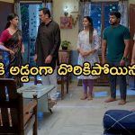 Gundeninda GudiGantalu Today episode: బాలు కోసం పోలీస్ స్టేషన్ కు మీనా.. శృతికి షాకిచ్చిన సురేంద్ర.. దొరికిపోయిన మీనా..