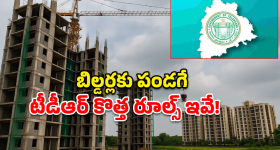 TDR Policy: రియల్ ఎస్టేట్ షేక్.. బిల్డర్లకు సర్కార్ ఇచ్చిన ‘జాక్‌పాట్’ ఆఫర్ ఇదే!