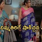 Intinti Ramayanam Today Episode: పల్లవికి దిమ్మతిరిగే షాక్.. పార్వతి దెబ్బకు మైండ్ బ్లాక్.. అవని నిజం చెప్పేస్తుందా..?