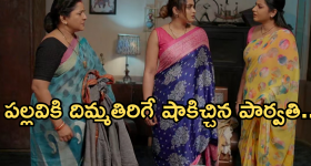 Intinti Ramayanam Today Episode: పల్లవికి దిమ్మతిరిగే షాక్.. పార్వతి దెబ్బకు మైండ్ బ్లాక్.. అవని నిజం చెప్పేస్తుందా..?