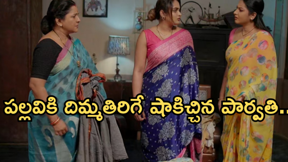 Intinti Ramayanam Today Episode: పల్లవికి దిమ్మతిరిగే షాక్.. పార్వతి దెబ్బకు మైండ్ బ్లాక్.. అవని నిజం చెప్పేస్తుందా..?