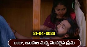 ఎట్టకేలకు గ్యాస్ సిలిండర్ కష్టాలు తీరినట్టే.. పాత రోజులు వచ్చినట్టే, గ్యాస్ బుకింగ్‌పై ప్రభుత్వం ప్రకటన