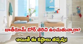మీ ఇంట్లో దరిద్రం తాండవిస్తోందా? బాత్‌రూమ్ తలుపులే కారణం కావొచ్చు!
