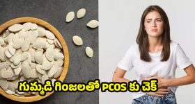 రూ.8 వేలకే హోమ్ థియేటర్ సెటప్.. 20W స్పీకర్లు, మైక్స్‌తో ROAR ప్రొజెక్టర్ వచ్చేసింది!