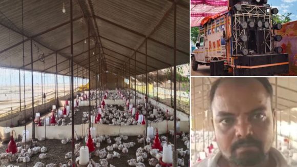 Uttar Pradesh: డీజే సౌండ్‌ ఎఫెక్ట్.. తట్టుకోలేక 140 కోళ్లు మృతి, యూపీలో షాకింగ్ ఘటన