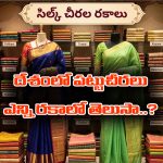 varieties of silk sarees: మన దేశంలో ఎన్ని రకాల పట్టుచీరలు ఉన్నాయో తెలుసా..? అసలు లెక్క పెట్టడం ఎవరి తరం కాదేమో..?