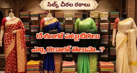varieties of silk sarees: మన దేశంలో ఎన్ని రకాల పట్టుచీరలు ఉన్నాయో తెలుసా..? అసలు లెక్క పెట్టడం ఎవరి తరం కాదేమో..?