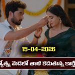 Karthika Deepam 2 Serial Today Episode April 15th ‘కార్తీక దీపం 2’ సీరియల్‌: పారిజాతం ఎమోషనల్ తో ఆడుకున్న కార్తీక్  